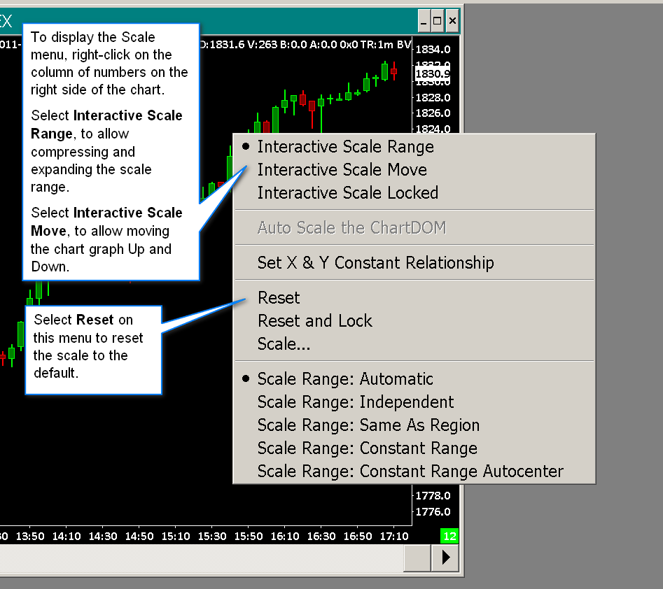 Interactive Brokers Cannot Zoom Automatic Chart